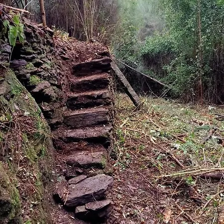 Quinta Da Quintinha
