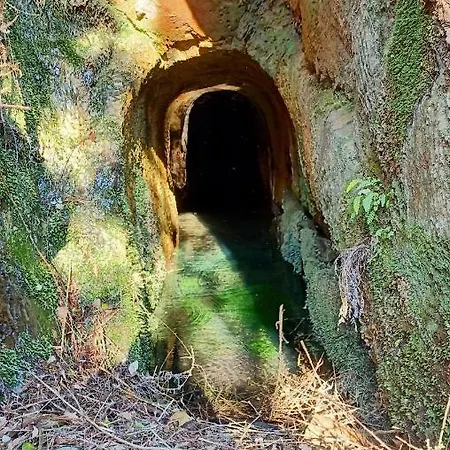 Hébergement de vacances Quinta Da Quintinha Arouca