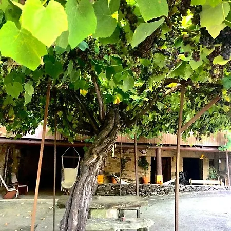Quinta Da Quintinha Hébergement de vacances *
