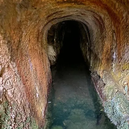 Hébergement de vacances Quinta Da Quintinha *