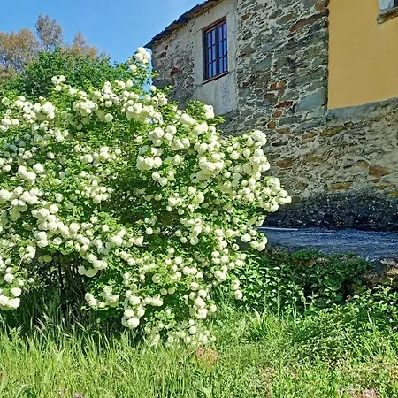 Hébergement de vacances Quinta Da Quintinha Arouca