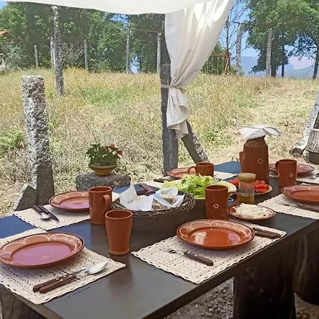 בית נופש Quinta Da Quintinha ארוקה