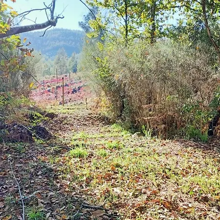 Quinta Da Quintinha Hébergement de vacances
